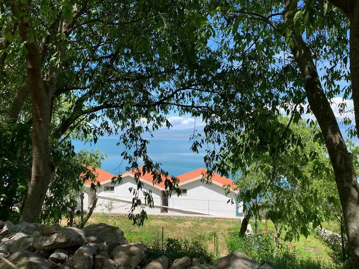 Vani I Bardhe Zogaji